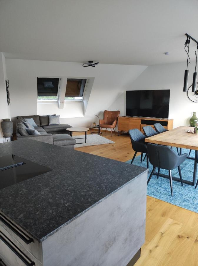 Luxurioeses Penthouse Mit Blick Auf Die Uno-City Und Dem Kaiserwasser. 3Schlafzimmer, 2 Baeder, Privat Lift Ins Apartment Vienne Extérieur photo