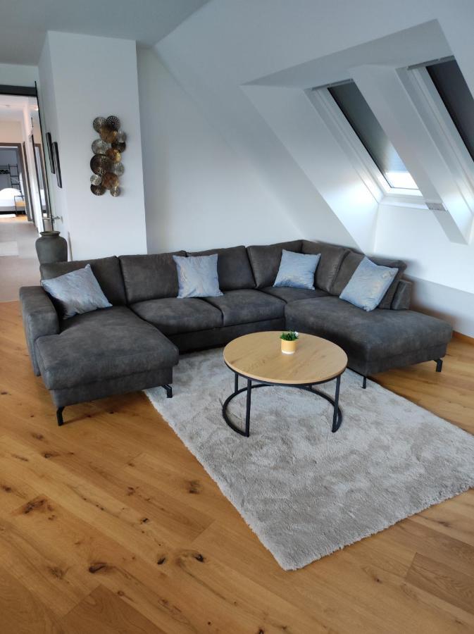 Luxurioeses Penthouse Mit Blick Auf Die Uno-City Und Dem Kaiserwasser. 3Schlafzimmer, 2 Baeder, Privat Lift Ins Apartment Vienne Extérieur photo